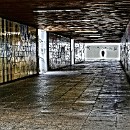 19 Fotozirkel Mannheim e.V. Felix Novotny